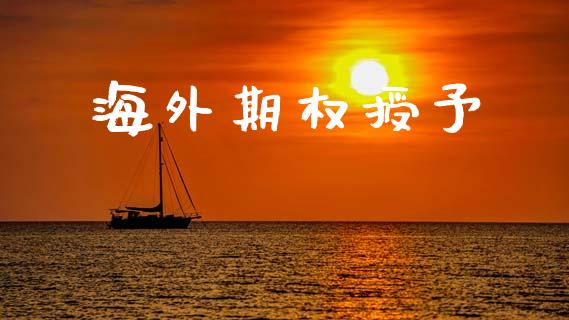海外期权授予_https://wap.sdyuehang.cn_新股申购_第1张