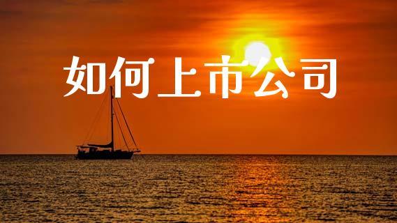 如何上市公司_https://wap.sdyuehang.cn_产经新闻_第1张