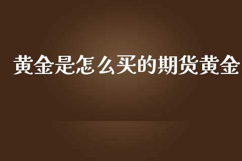 黄金是怎么买的期货黄金_https://wap.sdyuehang.cn_美股行情_第1张