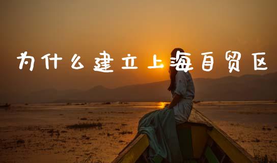 为什么建立上海自贸区_https://wap.sdyuehang.cn_美股行情_第1张