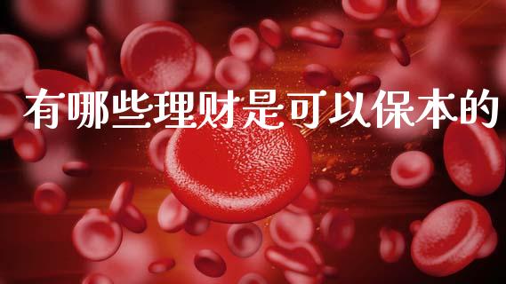 有哪些理财是可以保本的_https://wap.sdyuehang.cn_美股行情_第1张