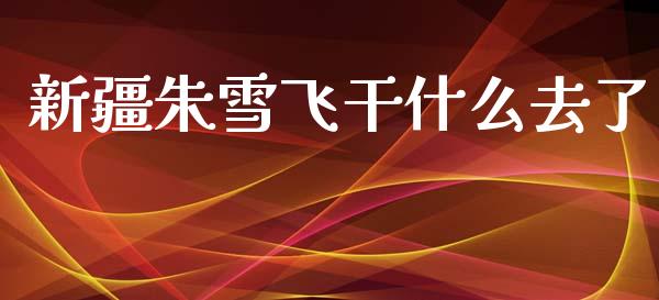 新疆朱雪飞干什么去了_https://wap.sdyuehang.cn_债券资讯_第1张
