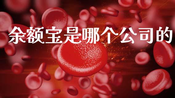 余额宝是哪个公司的_https://wap.sdyuehang.cn_产经新闻_第1张