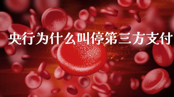 央行为什么叫停第三方支付_https://wap.sdyuehang.cn_债券资讯_第1张