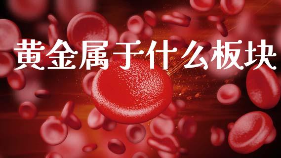 黄金属于什么板块_https://wap.sdyuehang.cn_产经新闻_第1张