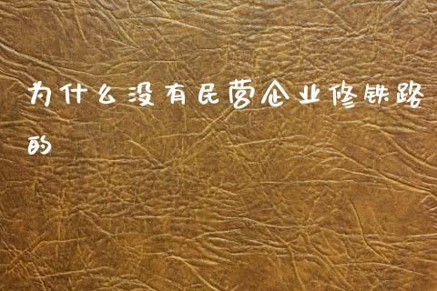为什么没有民营企业修铁路的_https://wap.sdyuehang.cn_新股申购_第1张
