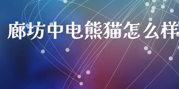 廊坊中电熊猫怎么样_https://wap.sdyuehang.cn_产经新闻_第1张