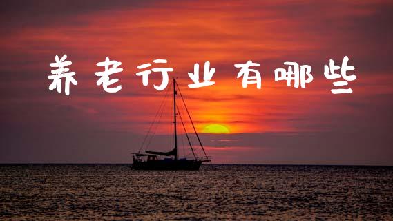 养老行业有哪些_https://wap.sdyuehang.cn_美股行情_第1张
