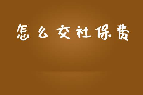 怎么交社保费_https://wap.sdyuehang.cn_新股申购_第1张