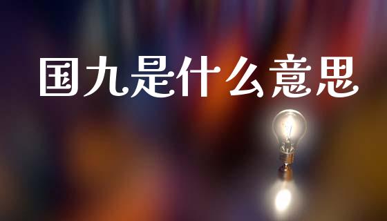 国九是什么意思_https://wap.sdyuehang.cn_债券资讯_第1张