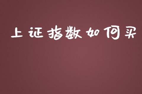 上证指数如何买_https://wap.sdyuehang.cn_产经新闻_第1张