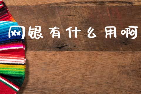 网银有什么用啊_https://wap.sdyuehang.cn_债券资讯_第1张