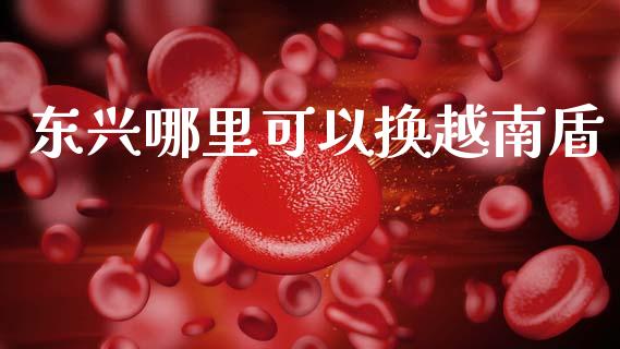 东兴哪里可以换越南盾_https://wap.sdyuehang.cn_美股行情_第1张