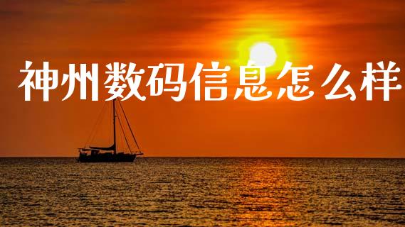 神州数码信息怎么样_https://wap.sdyuehang.cn_产经新闻_第1张
