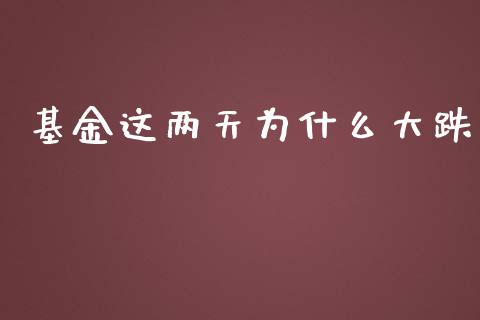 基金这两天为什么大跌_https://wap.sdyuehang.cn_产经新闻_第1张