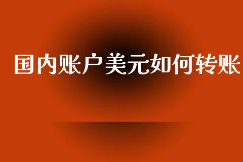 国内账户美元如何转账_https://wap.sdyuehang.cn_新股申购_第1张