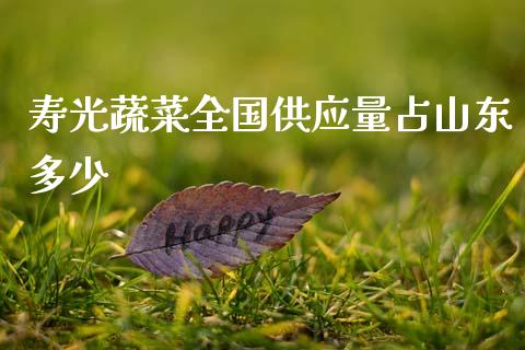 寿光蔬菜全国供应量占山东多少_https://wap.sdyuehang.cn_债券资讯_第1张