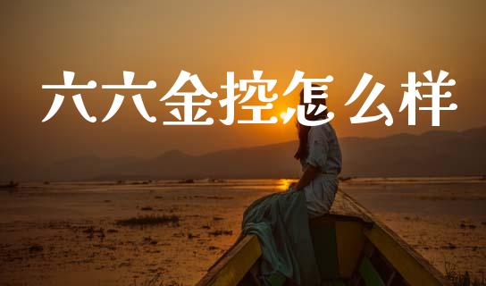 六六金控怎么样_https://wap.sdyuehang.cn_新股申购_第1张