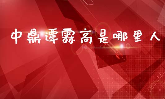 中鼎谭霖高是哪里人_https://wap.sdyuehang.cn_债券资讯_第1张