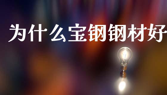 为什么宝钢钢材好_https://wap.sdyuehang.cn_美股行情_第1张