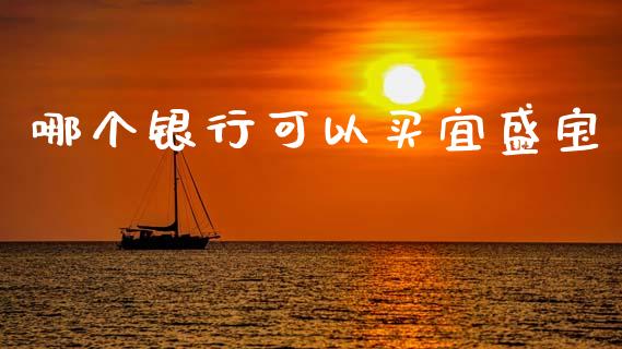哪个银行可以买宜盛宝_https://wap.sdyuehang.cn_美股行情_第1张