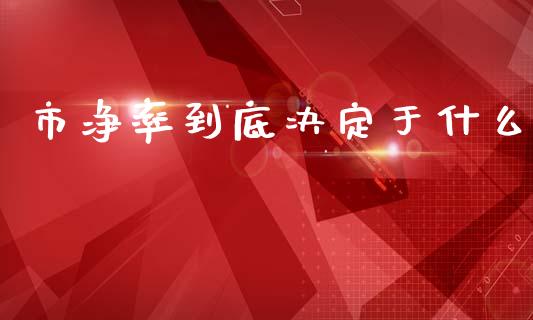 市净率到底决定于什么_https://wap.sdyuehang.cn_美股行情_第1张