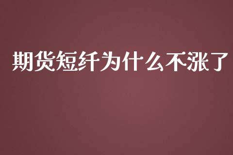 期货短纤为什么不涨了_https://wap.sdyuehang.cn_美股行情_第1张