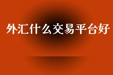 外汇什么交易平台好_https://wap.sdyuehang.cn_新股申购_第1张