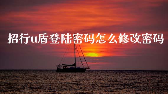 招行u盾登陆密码怎么修改密码_https://wap.sdyuehang.cn_新股申购_第1张