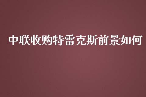 中联收购特雷克斯前景如何_https://wap.sdyuehang.cn_美股行情_第1张