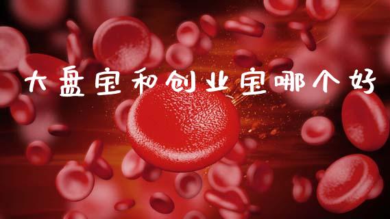 大盘宝和创业宝哪个好_https://wap.sdyuehang.cn_债券资讯_第1张