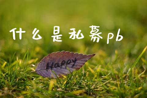 什么是私募pb_https://wap.sdyuehang.cn_产经新闻_第1张