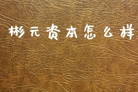 彬元资本怎么样_https://wap.sdyuehang.cn_债券资讯_第1张
