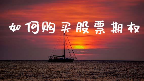 如何购买股票期权_https://wap.sdyuehang.cn_产经新闻_第1张