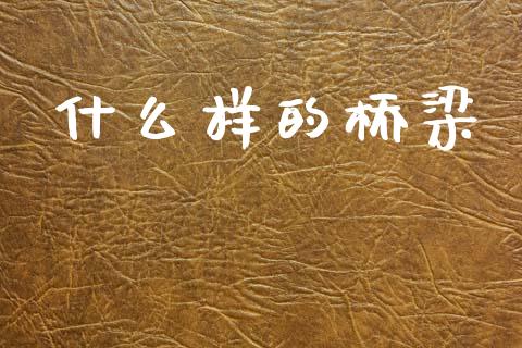 什么样的桥梁_https://wap.sdyuehang.cn_新股申购_第1张