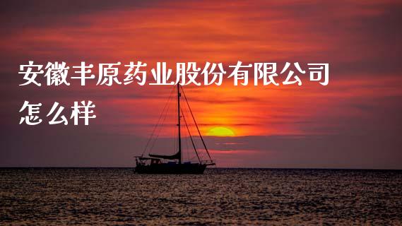 安徽丰原药业股份有限公司怎么样_https://wap.sdyuehang.cn_债券资讯_第1张