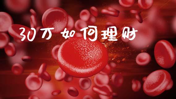 30万如何理财_https://wap.sdyuehang.cn_产经新闻_第1张