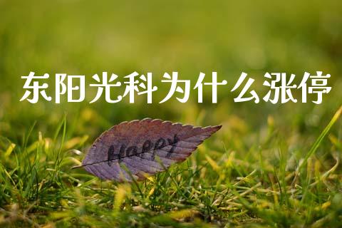 东阳光科为什么涨停_https://wap.sdyuehang.cn_产经新闻_第1张