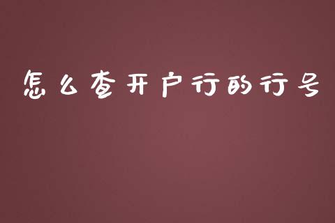 怎么查开户行的行号_https://wap.sdyuehang.cn_美股行情_第1张