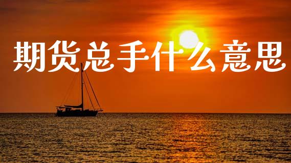 期货总手什么意思_https://wap.sdyuehang.cn_债券资讯_第1张
