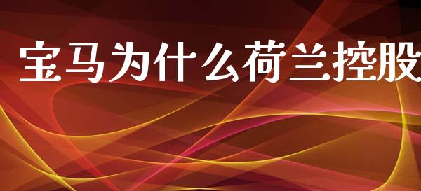 宝马为什么荷兰控股_https://wap.sdyuehang.cn_产经新闻_第1张