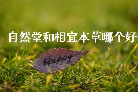 自然堂和相宜本草哪个好_https://wap.sdyuehang.cn_产经新闻_第1张