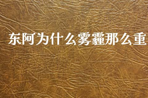 东阿为什么雾霾那么重_https://wap.sdyuehang.cn_债券资讯_第1张