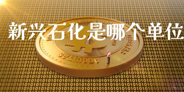 新兴石化是哪个单位_https://wap.sdyuehang.cn_债券资讯_第1张