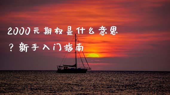 2000元期权是什么意思？新手入门指南_https://wap.sdyuehang.cn_美股行情_第1张