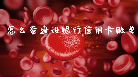 怎么查建设银行信用卡账单_https://wap.sdyuehang.cn_新股申购_第1张