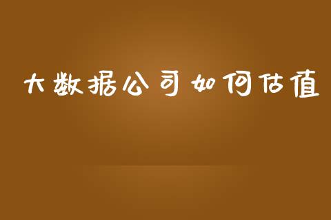 大数据公司如何估值_https://wap.sdyuehang.cn_美股行情_第1张