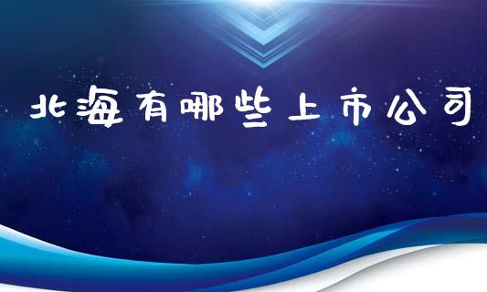 北海有哪些上市公司_https://wap.sdyuehang.cn_产经新闻_第1张