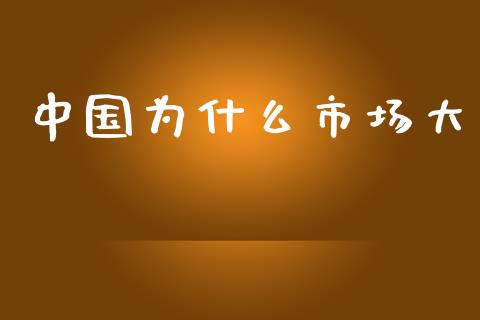 中国为什么市场大_https://wap.sdyuehang.cn_债券资讯_第1张