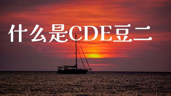 什么是CDE豆二_https://wap.sdyuehang.cn_债券资讯_第1张